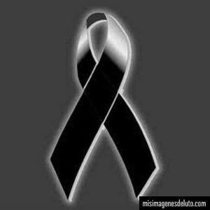 Meet your Posher, Yoel